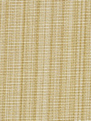 SOLID STRIE | GOLD - Multi-purpose