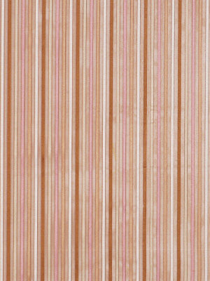 SHEER STRIPES | SHELL