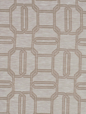 Tazetta | Tranquil