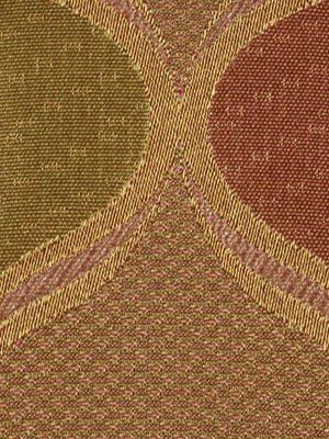 TREASURED TIME | SHELL - Multi-purpose