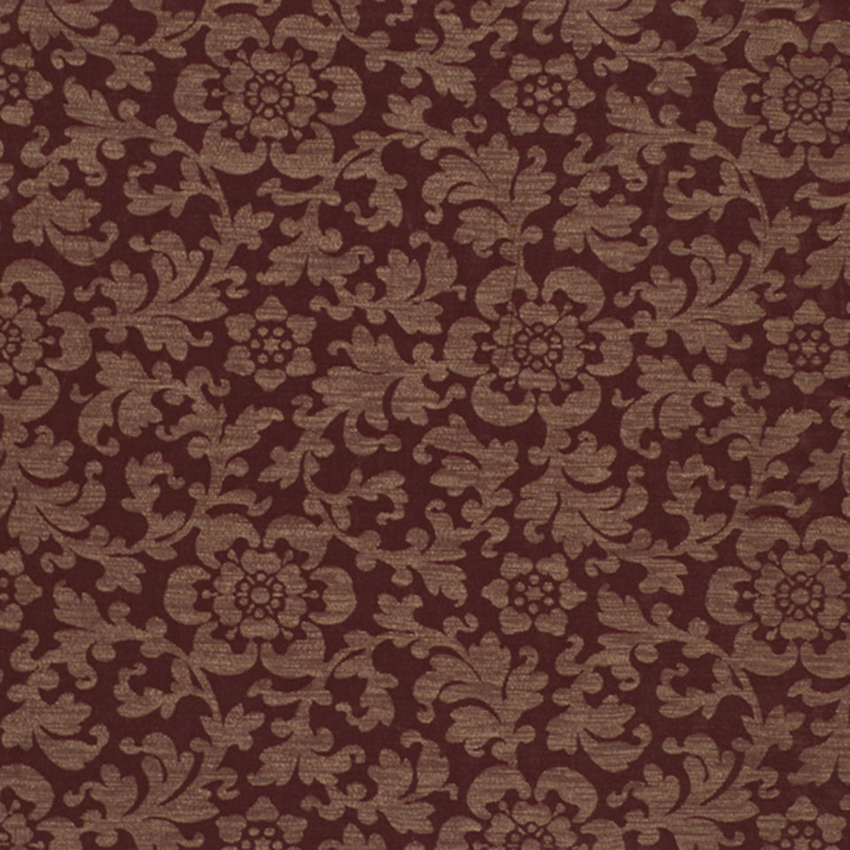 DISEGNO | RAISIN