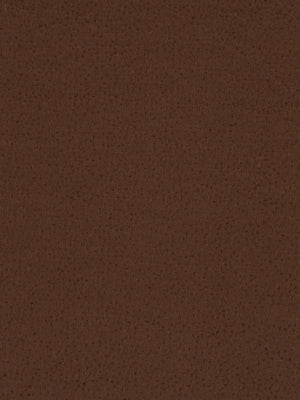 SPOTTED GLORY | CHOCOLATE