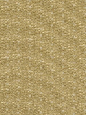 GLAD ALL OVER | CELERY - Upholstery - Fabric