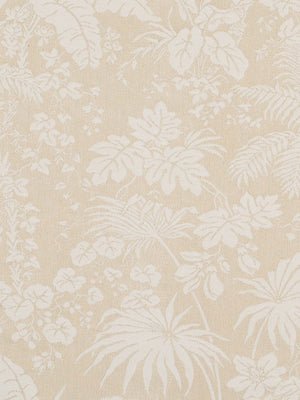 CHENGDU | BISCOTTI - Multi-purpose