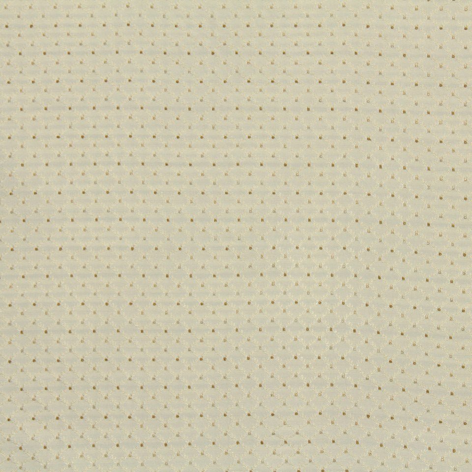 CORSHAM | SUGARCANE - Multi-purpose