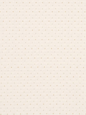 NAPA DOT | SAND DOLLAR
