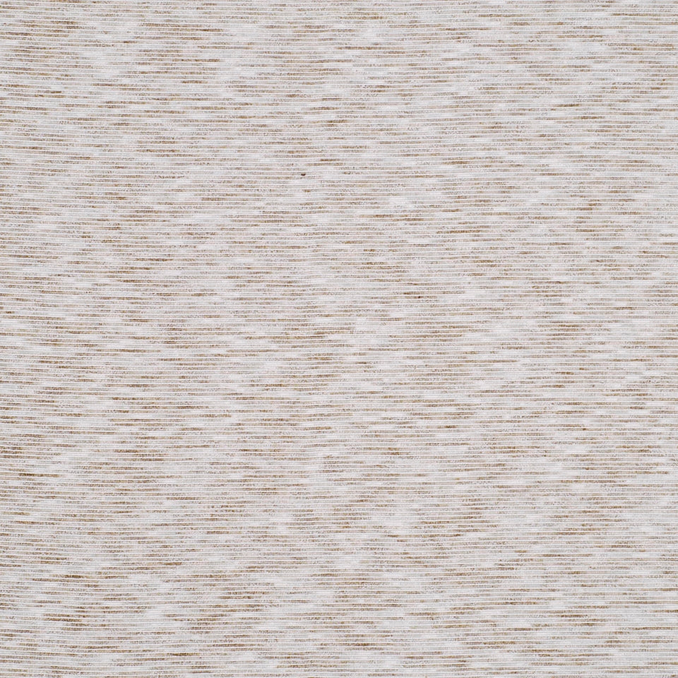 OPTICAL WAVE | SAND DOLLAR
