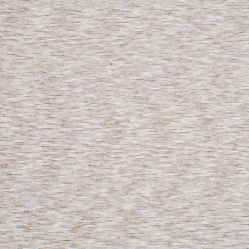 OPTICAL WAVE | SAND DOLLAR