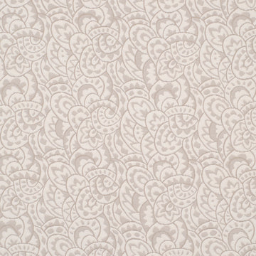 BROPHY FLORA | SAND DOLLAR