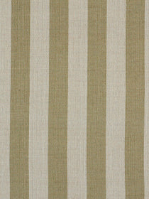 CAMPUS STRIPE | FIELD