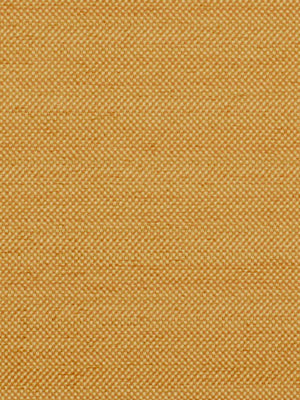 Anchor Chain | Butterscotch