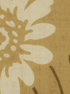 ABORIO | 492-BUTTERNUT