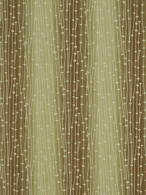 TRANSLUCENT | 492-FENNEL