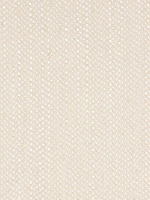 Coastal Sand | Bone