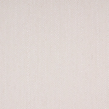Coastal Sand | Bone