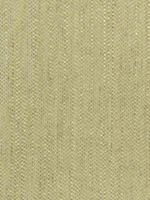 Coastal Sand | Dune