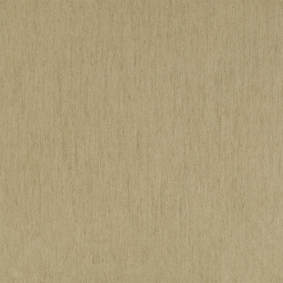 Coastal Sand | Dune