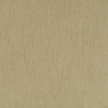 Coastal Sand | Dune