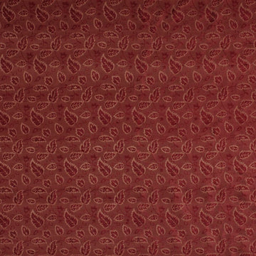 EMPERATRIZ | EMBER - Multi-purpose