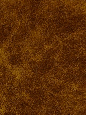 BARRIENTOS | TOFFEE - Multi-purpose