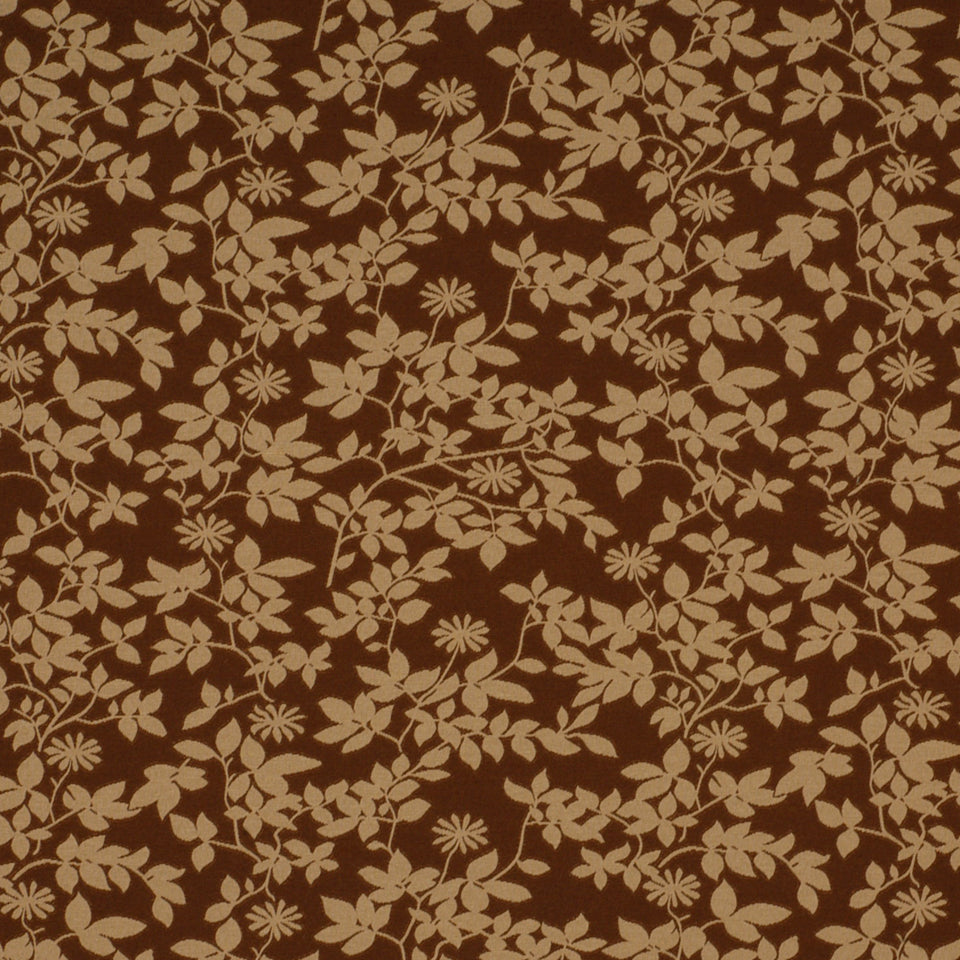 ANTHOLOGY | WALNUT