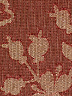 RENVYLE | POMEGRANATE