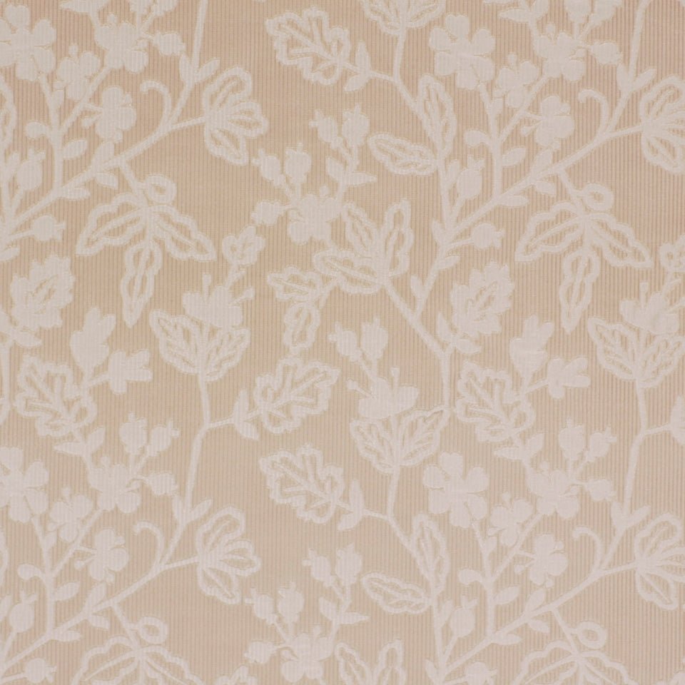 RENVYLE | BIRCH - Drapery - Fabric