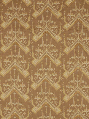 PROCOPIO | BIRCH