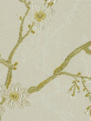 Willow Flowers | Pistachio - Upholstery - Fabric