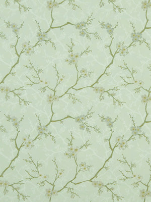 Willow Flowers | Pistachio