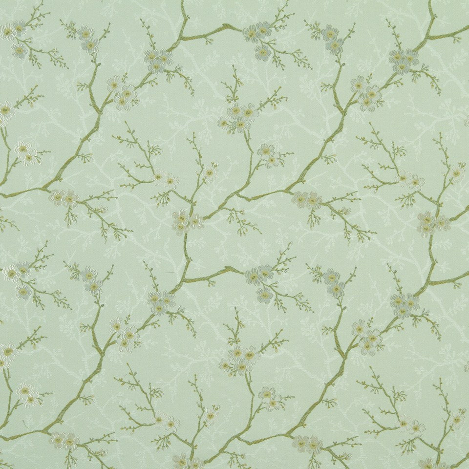 Willow Flowers | Pistachio