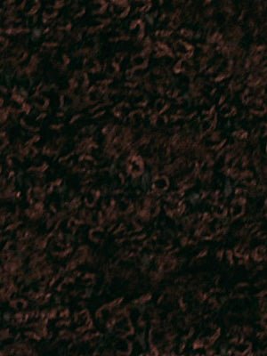 ARAUCA | ESPRESSO - Upholstery - Fabric
