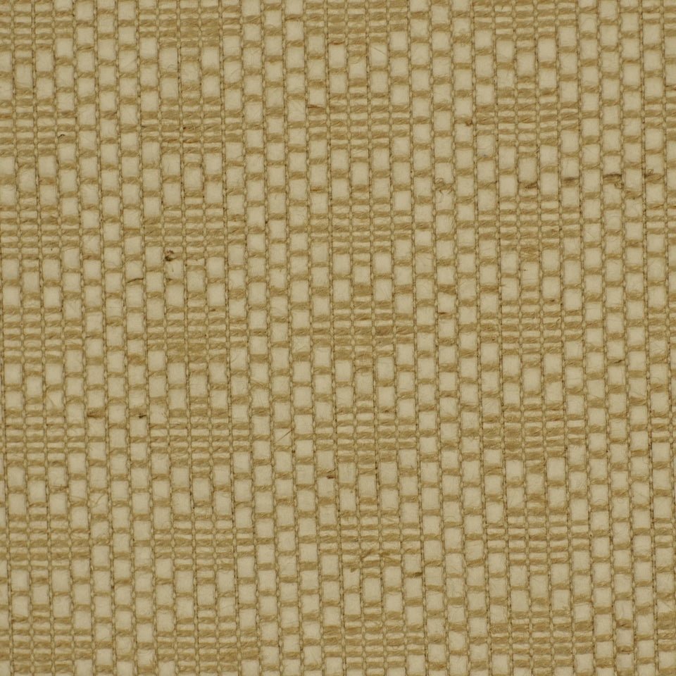 Brownwood | Orchid