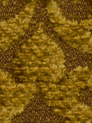PRINSEPIA | WARM BROWN