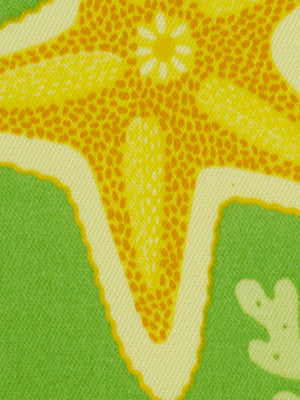 BEACH BONGO | CITRUS