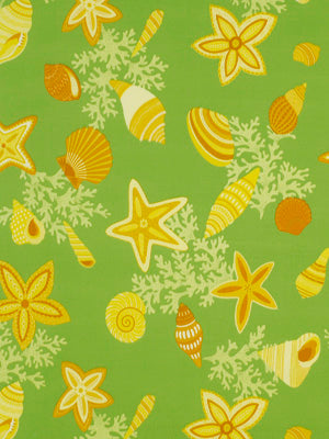 BEACH BONGO | CITRUS