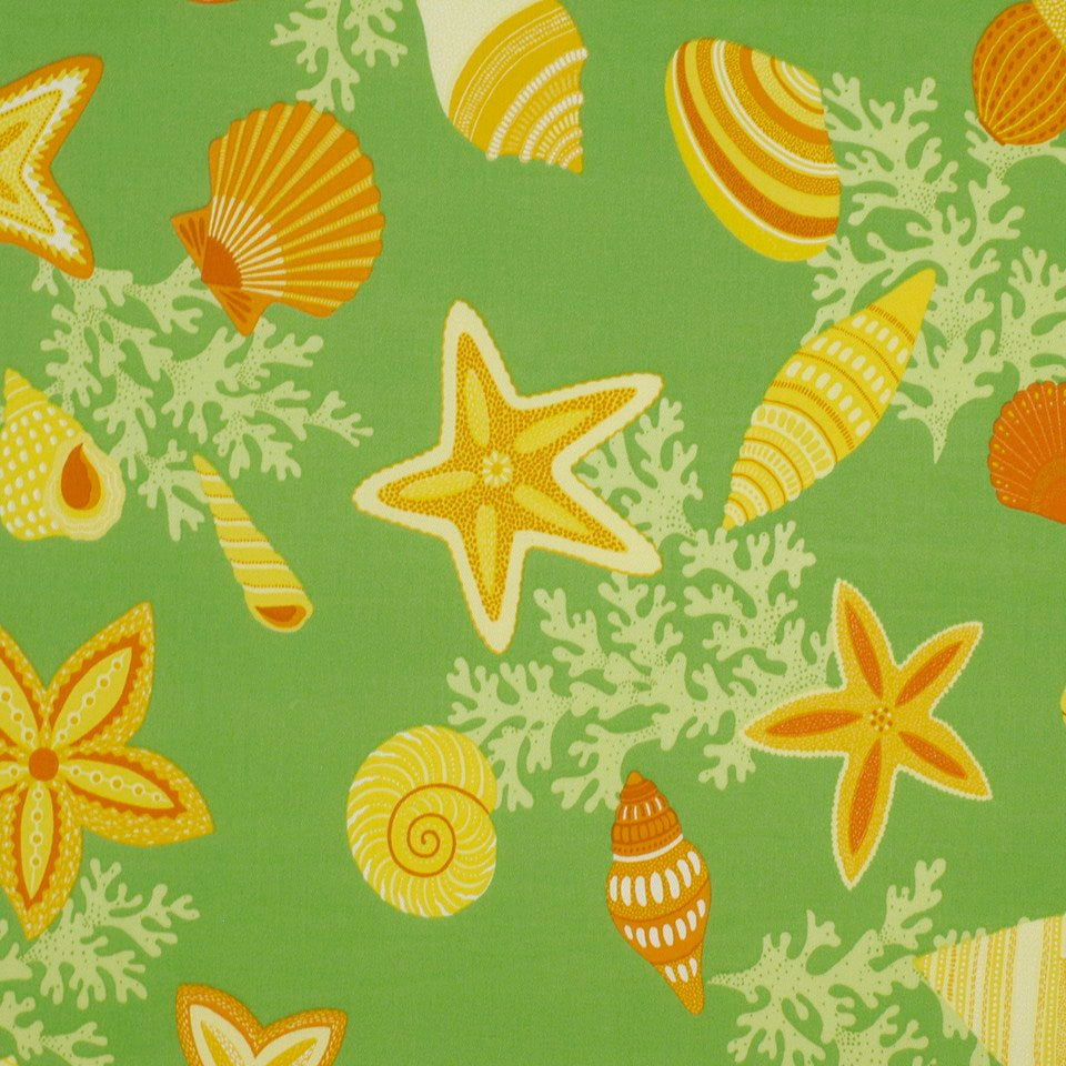 BEACH BONGO | CITRUS