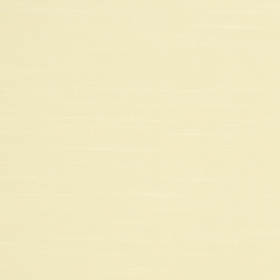 GENTLE DREAM | SAND DOLLAR