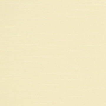 GENTLE DREAM | SAND DOLLAR