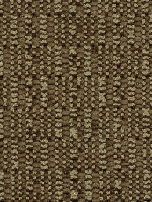 PEBBLED PATH | PEBBLE