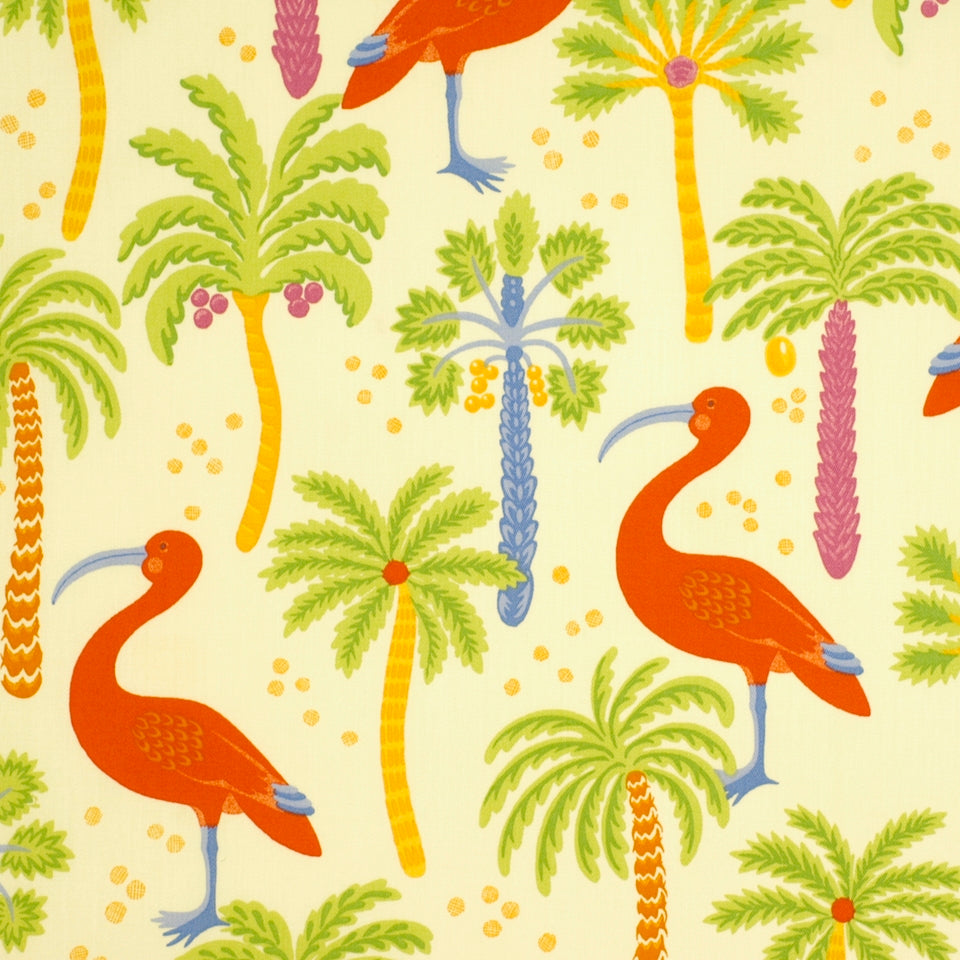 IBIS ISLAND | MULTI