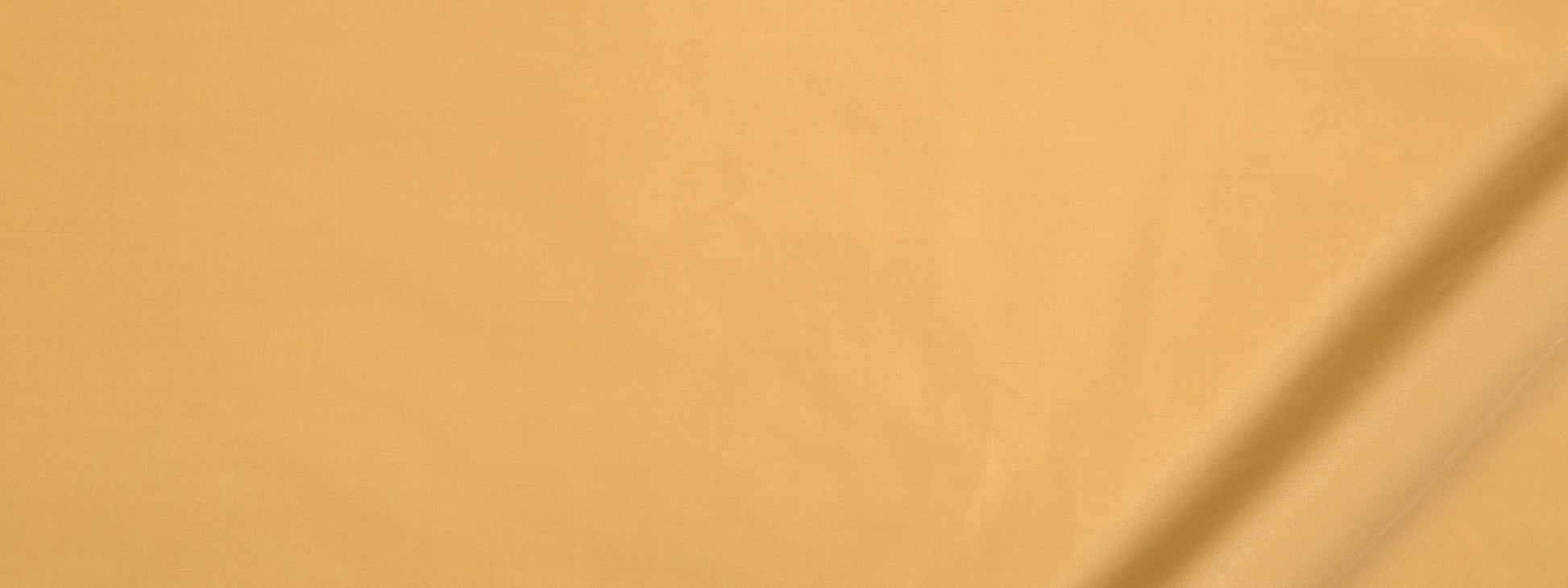 VINETTA | WHEAT
