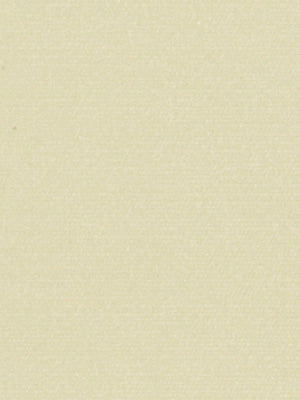 VINETTA | BARLEY