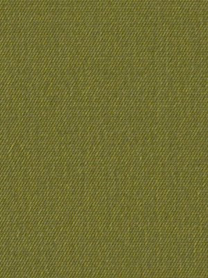 VINETTA | CACTUS - Multi-purpose