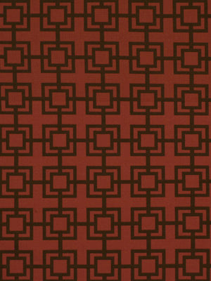 CONNECTIONS | POMEGRANATE