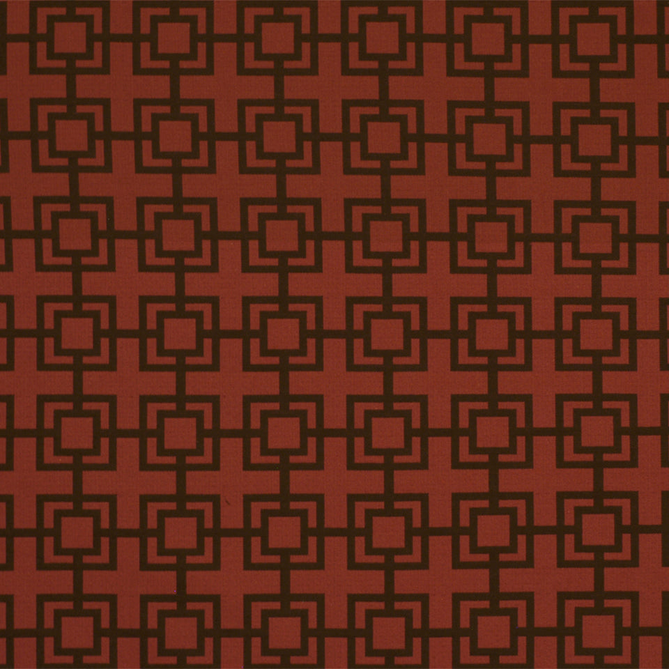 CONNECTIONS | POMEGRANATE