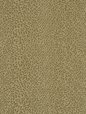 Big Cat | Desert Sand