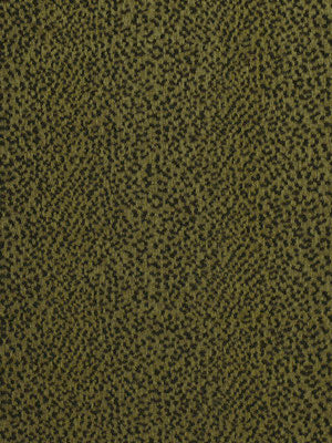 Big Cat | Hunter