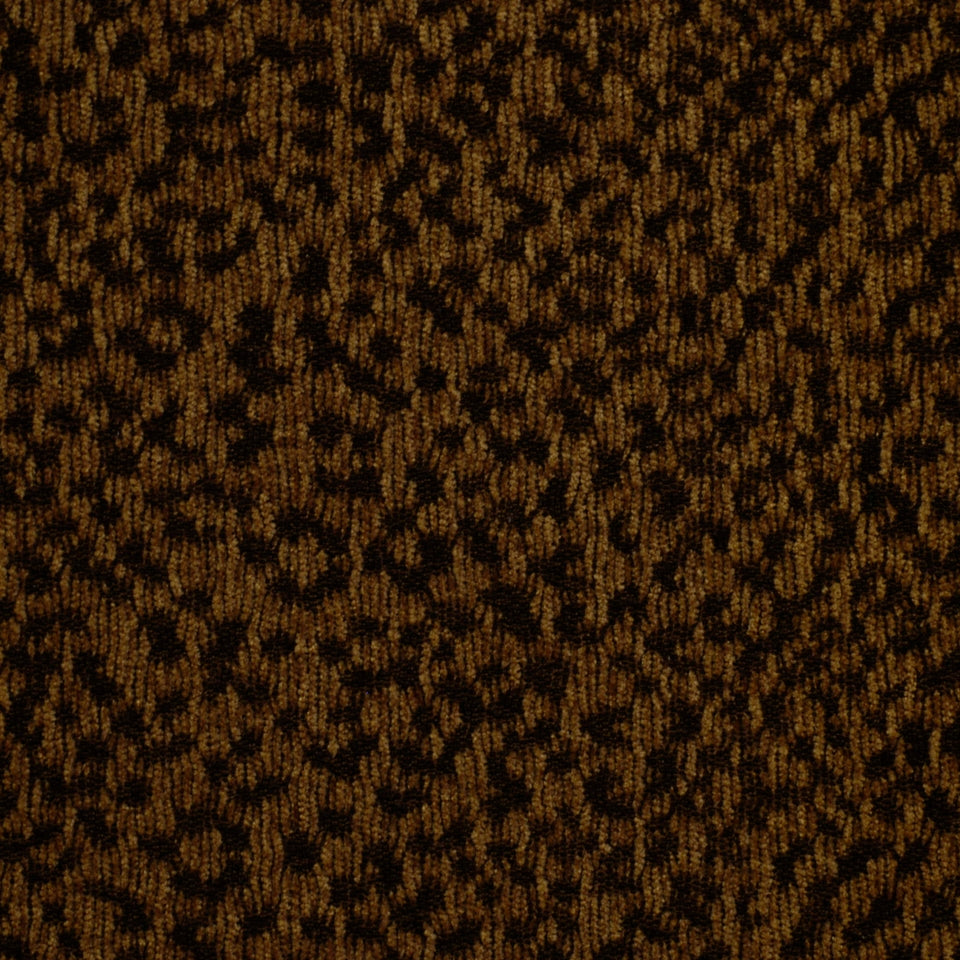 Big Cat | Hunter