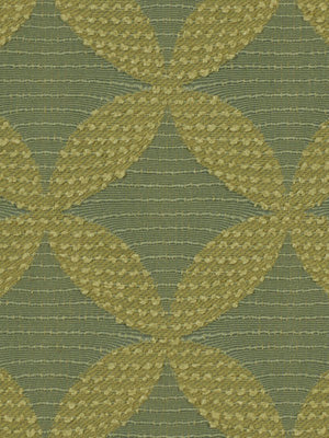 PIN WHEEL | ALOE